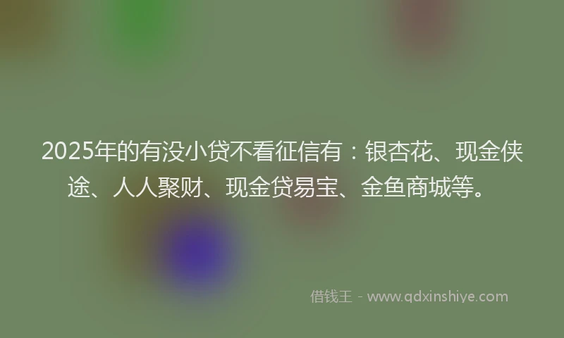 2025年的有没小贷不看征信有：银杏花、现金侠途、人人聚财、现金贷易宝、金鱼商城等。