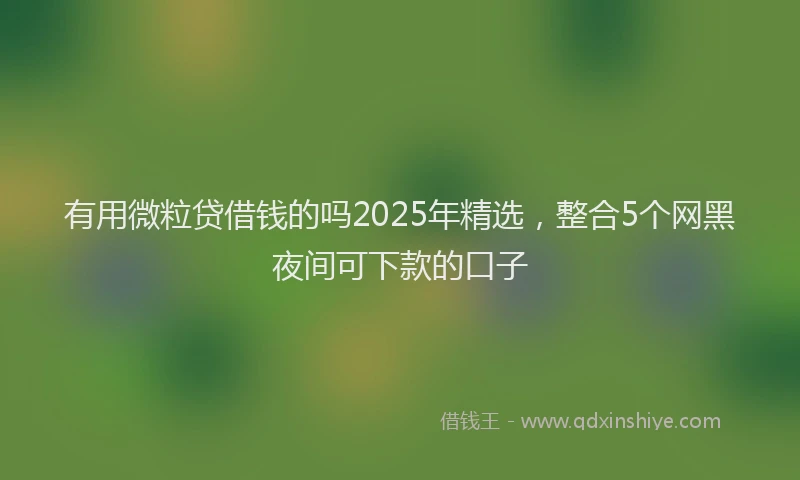 有用微粒贷借钱的吗2025年精选，整合5个网黑夜间可下款的口子