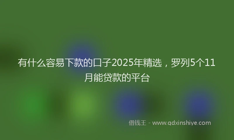 有什么容易下款的口子2025年精选，罗列5个11月能贷款的平台