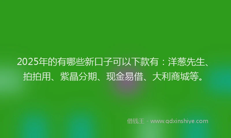 2025年的有哪些新口子可以下款有：洋葱先生、拍拍用、紫晶分期、现金易借、大利商城等。