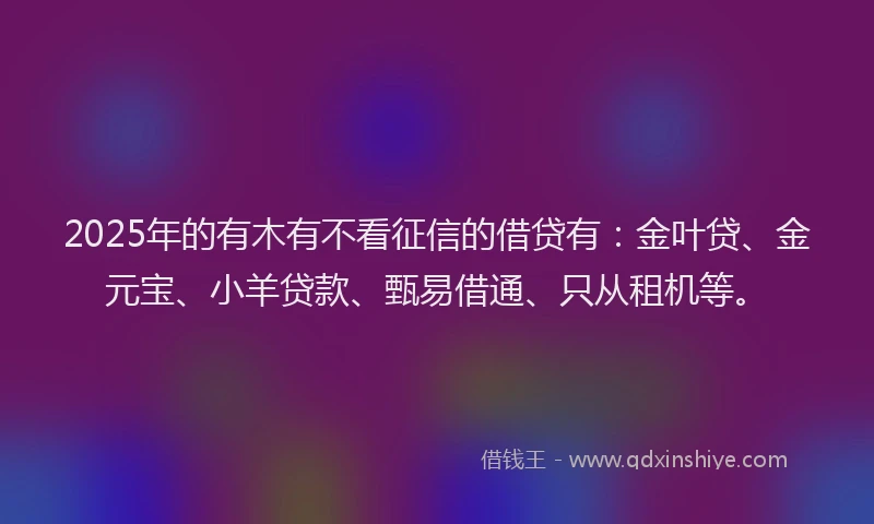 2025年的有木有不看征信的借贷有：金叶贷、金元宝、小羊贷款、甄易借通、只从租机等。