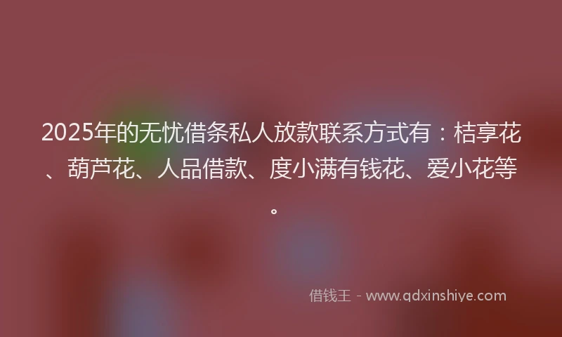 2025年的无忧借条私人放款联系方式有：桔享花、葫芦花、人品借款、度小满有钱花、爱小花等。
