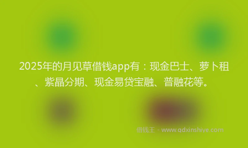 2025年的月见草借钱app有：现金巴士、萝卜租、紫晶分期、现金易贷宝融、普融花等。