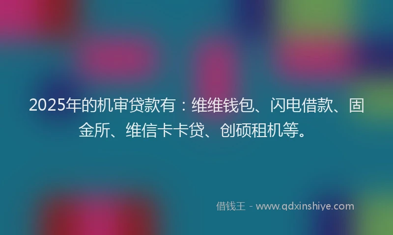 2025年的机审贷款有：维维钱包、闪电借款、固金所、维信卡卡贷、创硕租机等。