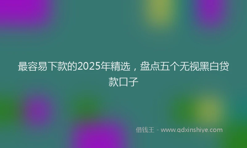 最容易下款的2025年精选，盘点五个无视黑白贷款口子