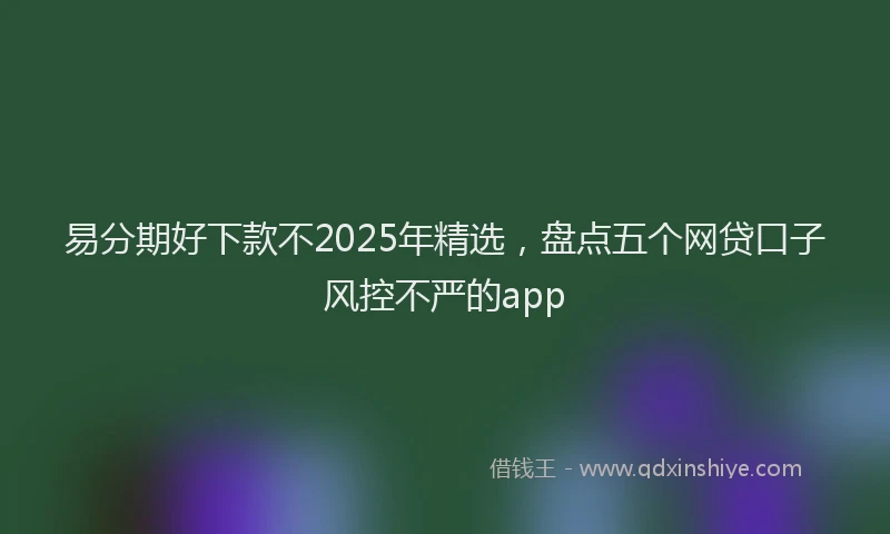 易分期好下款不2025年精选，盘点五个网贷口子风控不严的app