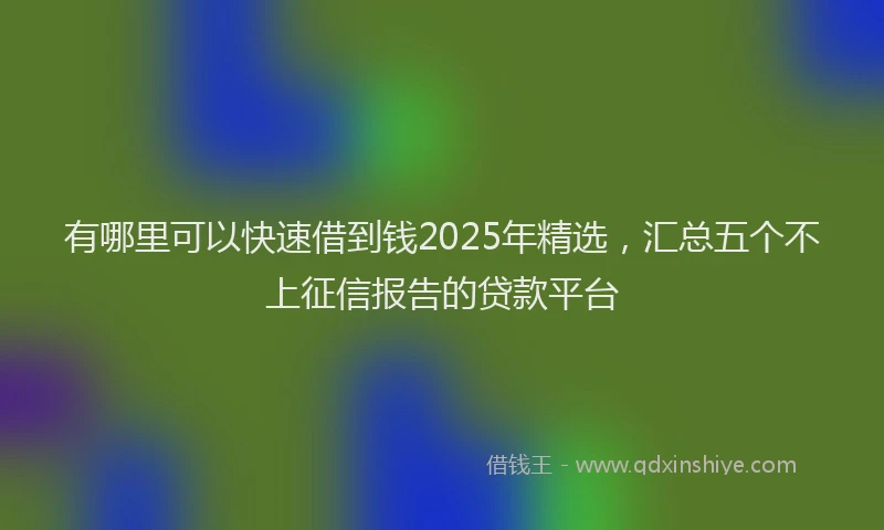 有哪里可以快速借到钱2025年精选，汇总五个不上征信报告的贷款平台
