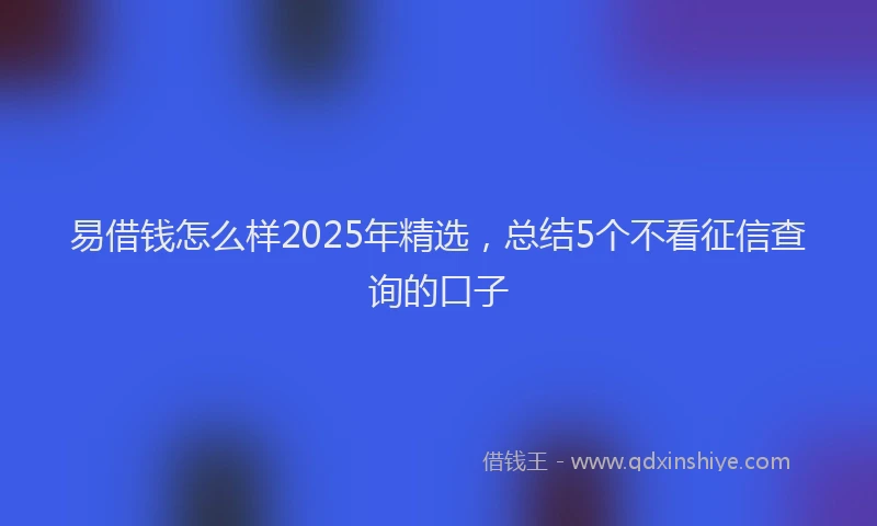 易借钱怎么样2025年精选，总结5个不看征信查询的口子