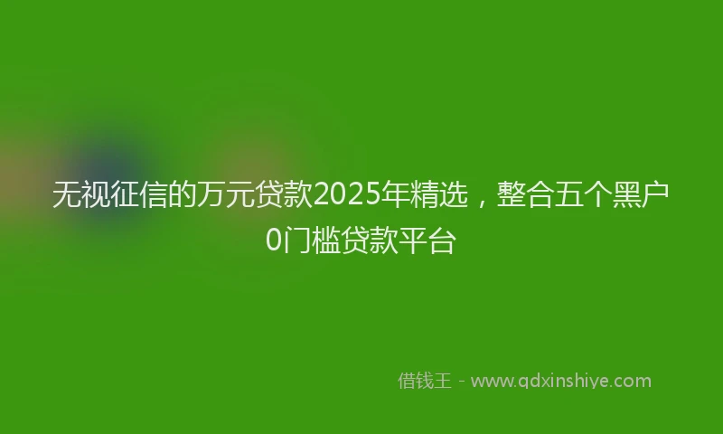 无视征信的万元贷款2025年精选，整合五个黑户0门槛贷款平台