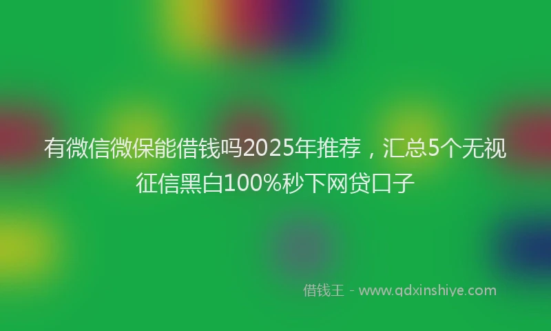 有微信微保能借钱吗2025年推荐，汇总5个无视征信黑白100%秒下网贷口子