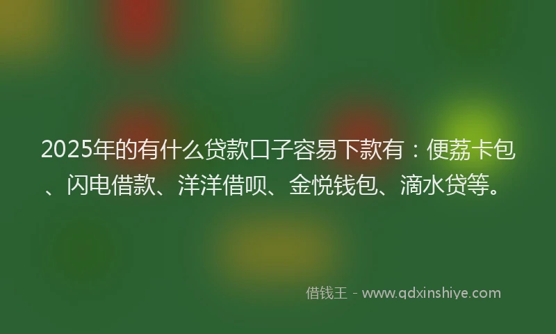 2025年的有什么贷款口子容易下款有：便荔卡包、闪电借款、洋洋借呗、金悦钱包、滴水贷等。