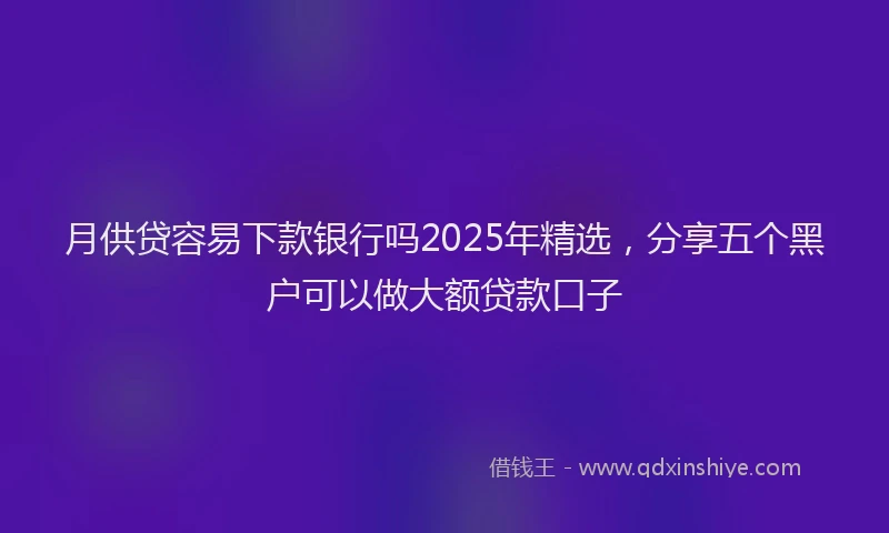 月供贷容易下款银行吗2025年精选，分享五个黑户可以做大额贷款口子