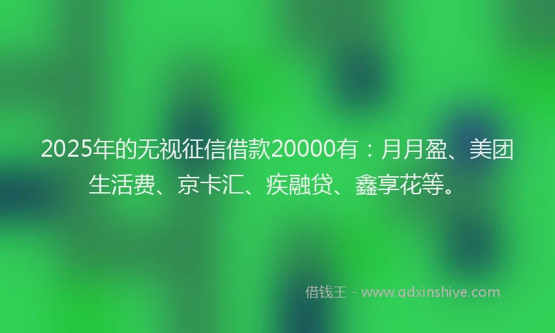 2025年的无视征信借款20000有：月月盈、美团生活费、京卡汇、疾融贷、鑫享花等。