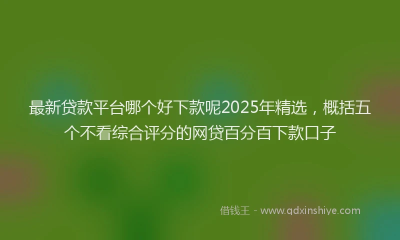 最新贷款平台哪个好下款呢2025年精选，概括五个不看综合评分的网贷百分百下款口子