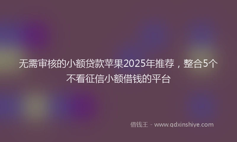 无需审核的小额贷款苹果2025年推荐，整合5个不看征信小额借钱的平台