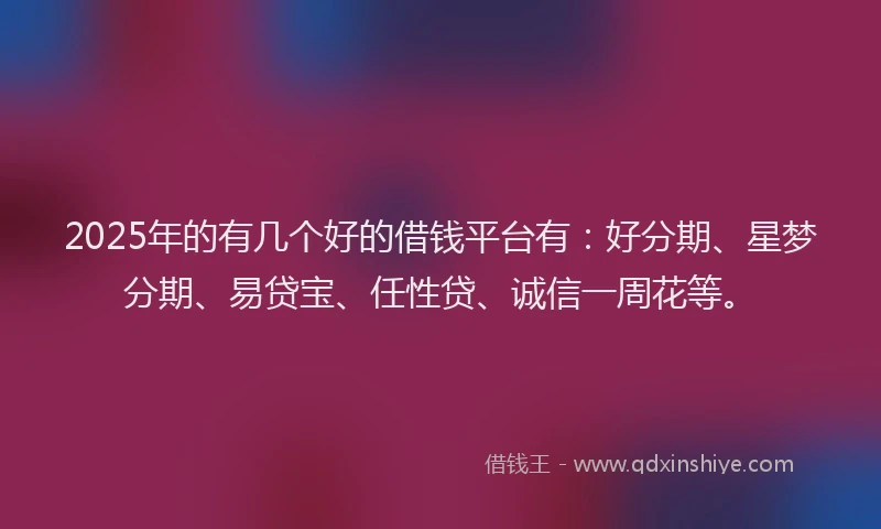 2025年的有几个好的借钱平台有：好分期、星梦分期、易贷宝、任性贷、诚信一周花等。