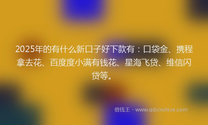 2025年的有什么新口子好下款有：口袋金、携程拿去花、百度度小满有钱花、星海飞贷、维信闪贷等。