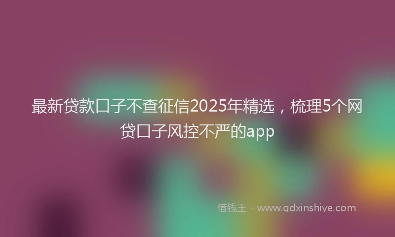 最新贷款口子不查征信2025年精选，梳理5个网贷口子风控不严的app