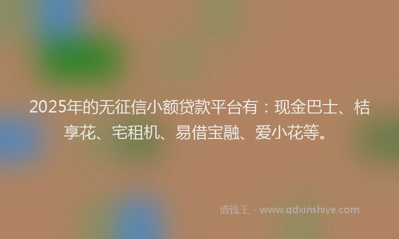 2025年的无征信小额贷款平台有：现金巴士、桔享花、宅租机、易借宝融、爱小花等。