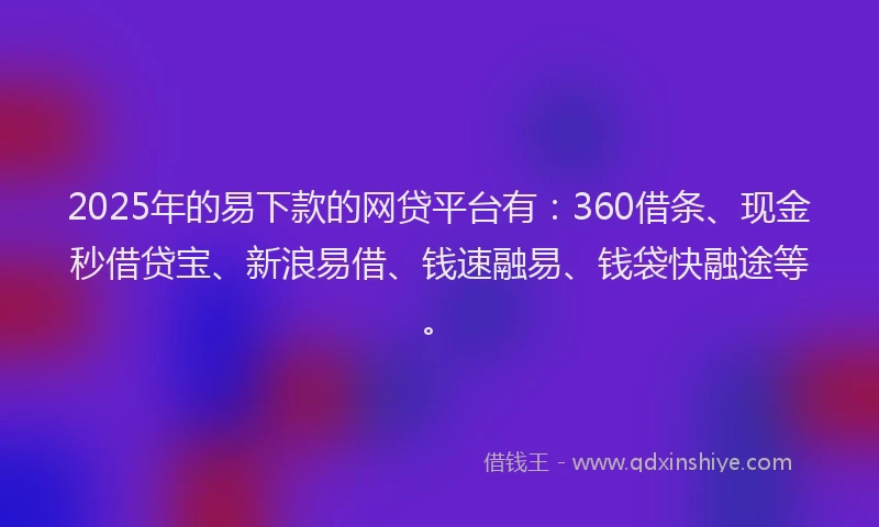 2025年的易下款的网贷平台有：360借条、现金秒借贷宝、新浪易借、钱速融易、钱袋快融途等。