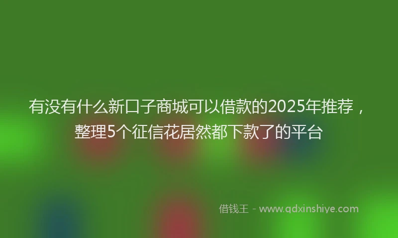 有没有什么新口子商城可以借款的2025年推荐，整理5个征信花居然都下款了的平台