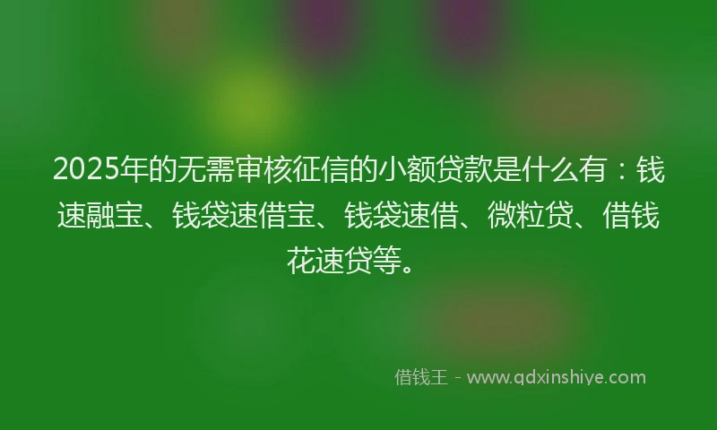 2025年的无需审核征信的小额贷款是什么有：钱速融宝、钱袋速借宝、钱袋速借、微粒贷、借钱花速贷等。