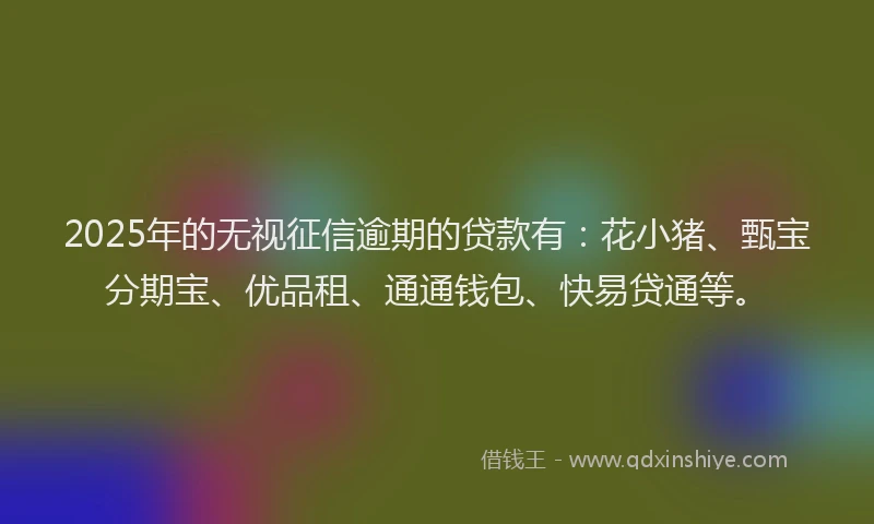 2025年的无视征信逾期的贷款有：花小猪、甄宝分期宝、优品租、通通钱包、快易贷通等。
