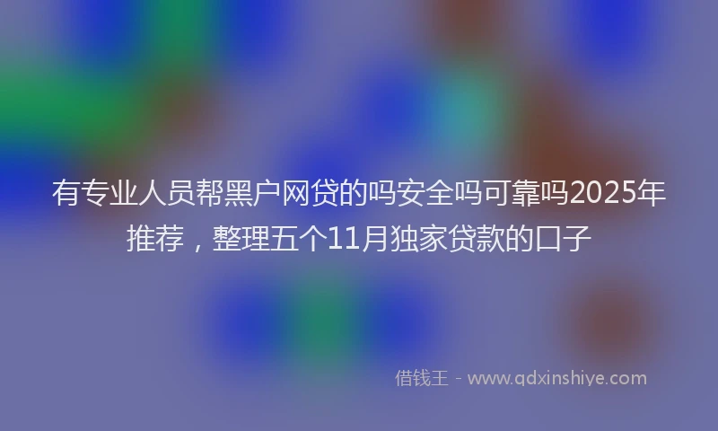 有专业人员帮黑户网贷的吗安全吗可靠吗2025年推荐，整理五个11月独家贷款的口子