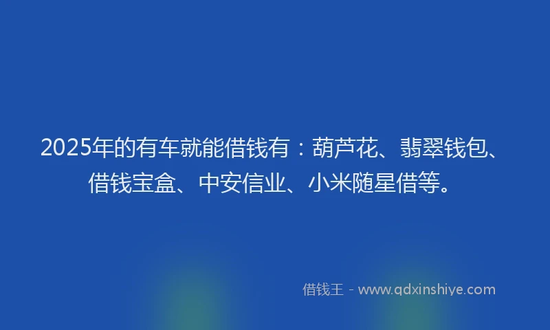 2025年的有车就能借钱有：葫芦花、翡翠钱包、借钱宝盒、中安信业、小米随星借等。
