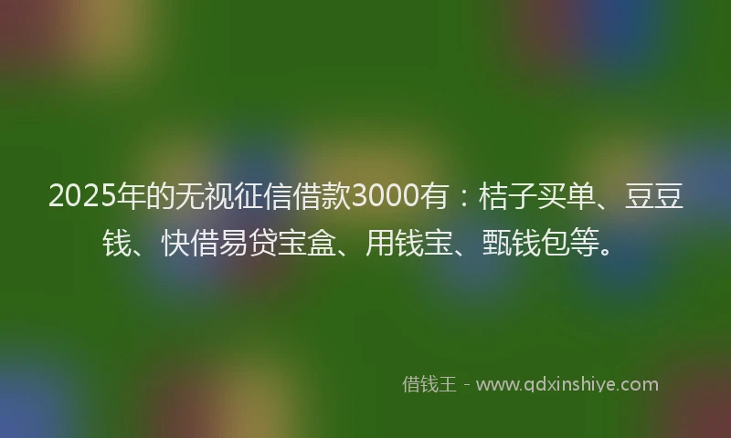 2025年的无视征信借款3000有：桔子买单、豆豆钱、快借易贷宝盒、用钱宝、甄钱包等。
