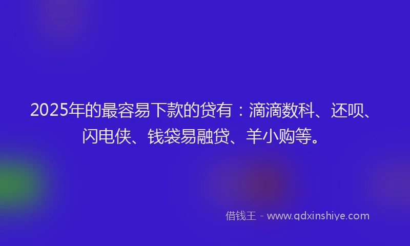 2025年的最容易下款的贷有：滴滴数科、还呗、闪电侠、钱袋易融贷、羊小购等。