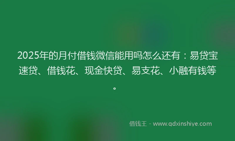 2025年的月付借钱微信能用吗怎么还有：易贷宝速贷、借钱花、现金快贷、易支花、小融有钱等。