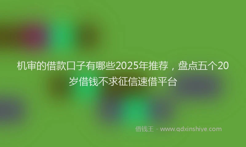 机审的借款口子有哪些2025年推荐，盘点五个20岁借钱不求征信速借平台