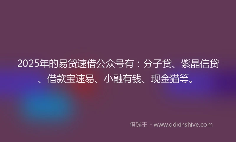 2025年的易贷速借公众号有：分子贷、紫晶信贷、借款宝速易、小融有钱、现金猫等。