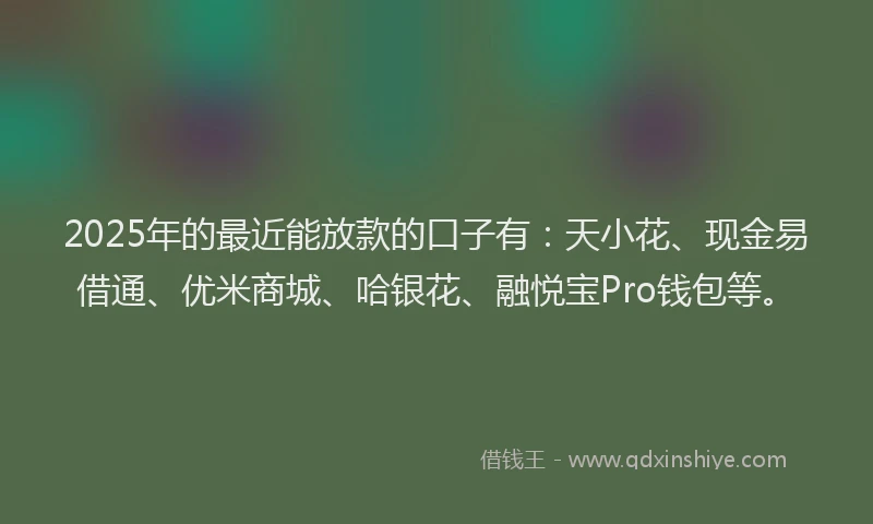 2025年的最近能放款的口子有：天小花、现金易借通、优米商城、哈银花、融悦宝Pro钱包等。