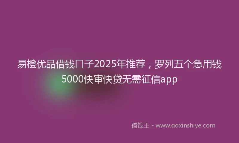 易橙优品借钱口子2025年推荐，罗列五个急用钱5000快审快贷无需征信app
