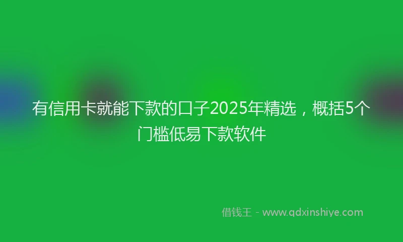 有信用卡就能下款的口子2025年精选，概括5个门槛低易下款软件