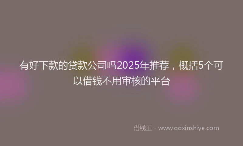 有好下款的贷款公司吗2025年推荐，概括5个可以借钱不用审核的平台