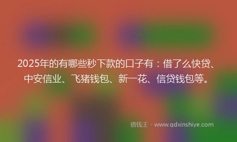 2025年的有哪些秒下款的口子有：借了么快贷、中安信业、飞猪钱包、新一花、信贷钱包等。