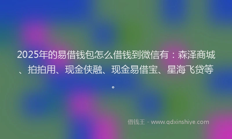 2025年的易借钱包怎么借钱到微信有：森泽商城、拍拍用、现金侠融、现金易借宝、星海飞贷等。