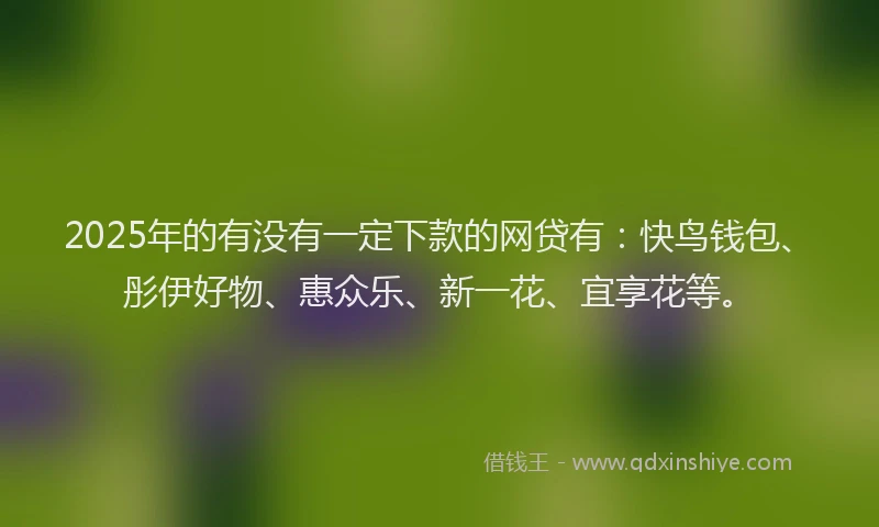 2025年的有没有一定下款的网贷有：快鸟钱包、彤伊好物、惠众乐、新一花、宜享花等。