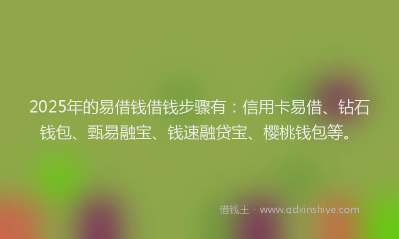 2025年的易借钱借钱步骤有：信用卡易借、钻石钱包、甄易融宝、钱速融贷宝、樱桃钱包等。