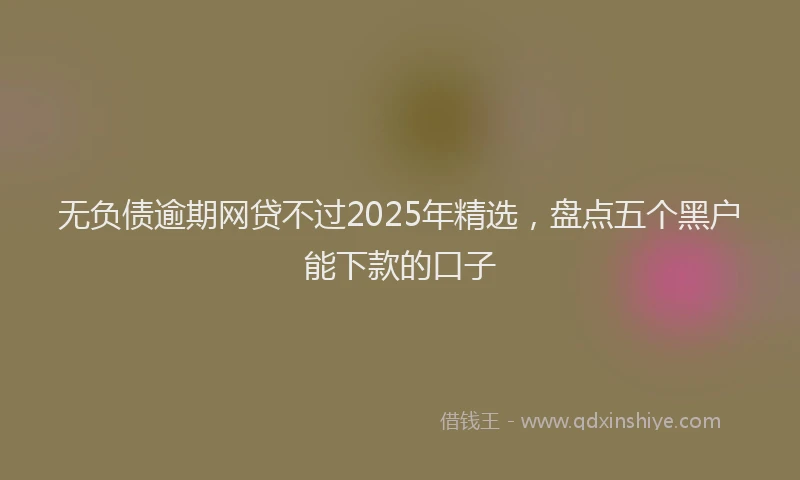 无负债逾期网贷不过2025年精选，盘点五个黑户能下款的口子