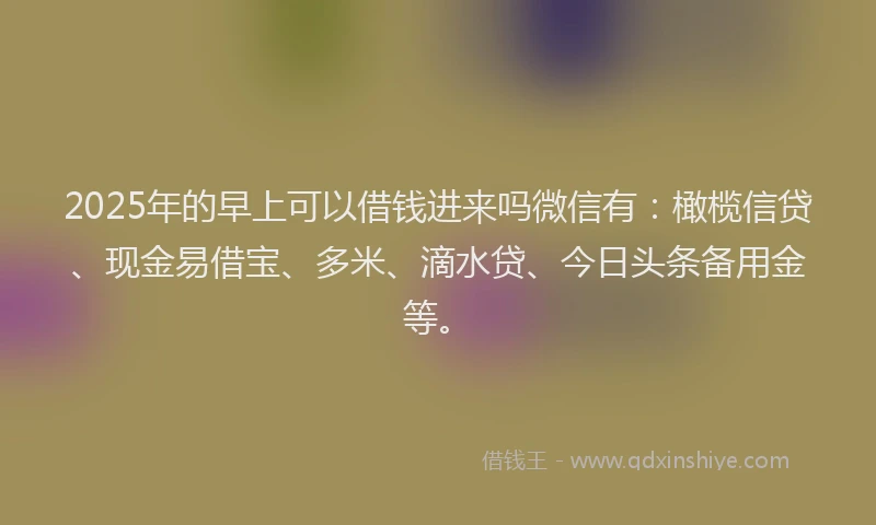 2025年的早上可以借钱进来吗微信有：橄榄信贷、现金易借宝、多米、滴水贷、今日头条备用金等。