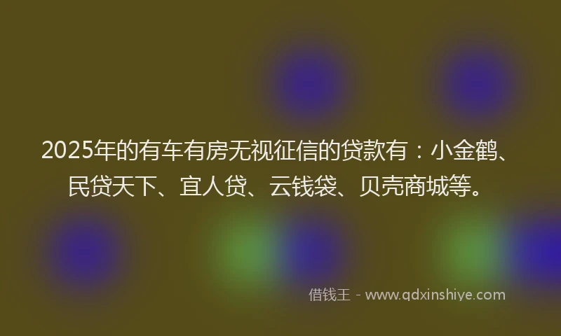 2025年的有车有房无视征信的贷款有：小金鹤、民贷天下、宜人贷、云钱袋、贝壳商城等。
