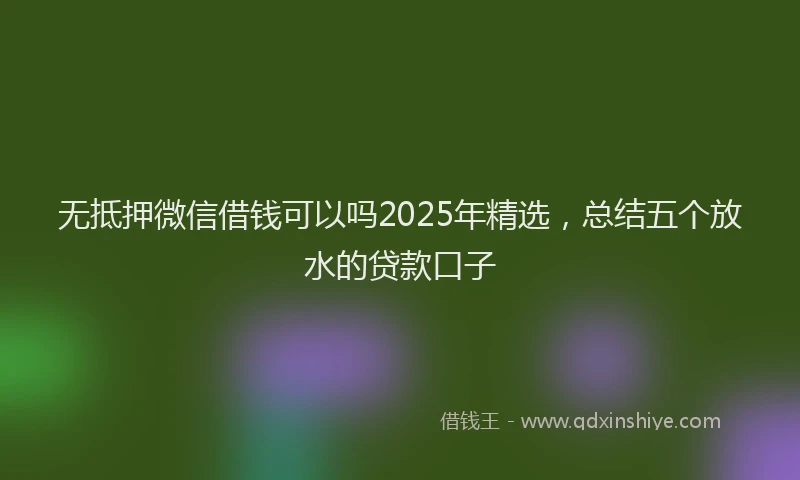 无抵押微信借钱可以吗2025年精选，总结五个放水的贷款口子