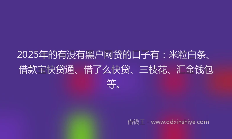 2025年的有没有黑户网贷的口子有：米粒白条、借款宝快贷通、借了么快贷、三枝花、汇金钱包等。