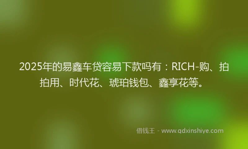 2025年的易鑫车贷容易下款吗有：RICH-购、拍拍用、时代花、琥珀钱包、鑫享花等。