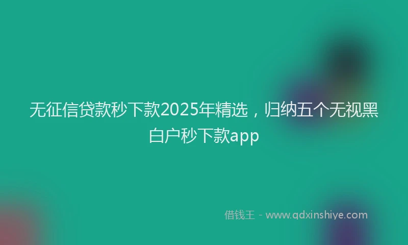 无征信贷款秒下款2025年精选，归纳五个无视黑白户秒下款app