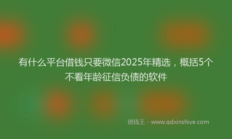 有什么平台借钱只要微信2025年精选，概括5个不看年龄征信负债的软件